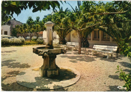 CPM  83     ROQUEBRUNE SUR ARGENS     1985      LE SQUARE     FONTAINE    BANCS - Roquebrune-sur-Argens