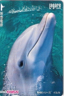Télécarte Japonaise. Animaux.  Dauphins - Delfines