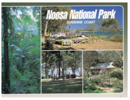 (951) Australia - QLD - Noosa - Sunshine Coast