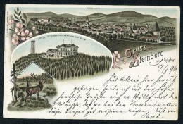Gruss Vom Steinberg Bei Goslar - Hotel Steinberg 484 M Uber Meere - Lithograph ---- Old Postcard Traveled - Goslar