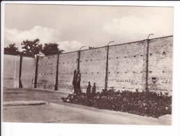 CP - RAVENSBRUCK : Camp De Concentration - Partie Du Mur Du Camp Et Fosse Commune Le MLT Au Massif De Roses Et Sculpture - Guerre 1939-45