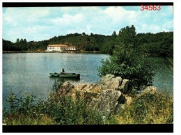 Chantonnay Le Moulin Neuf - Chantonnay