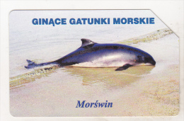 Poland Old Used Phonecard - Dolphin - Dolfijnen