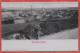 67 - BUCHSWEILER - BOUXWILLER - Total Ansicht - Vue Générale - Bouxwiller