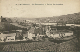 01 SEYSSEL / Vue Panoramique Et Château Des Seychallets / - Seyssel