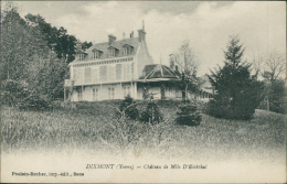 89 DIXMONT / Château De Mademoiselle D'Eichthal / - Dixmont