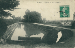 89 FLOGNY LA CHAPELLE / Flogny, Les Fossés Du Parc Du Château / - Flogny La Chapelle