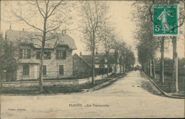 89 FLOGNY LA CHAPELLE / Les Promenades / - Flogny La Chapelle