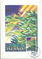 ISLANDE CARTE MAXIMUM   NUM YVERT  631 NOEL - Maximum Cards