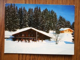 Switzerland  - Braunwald  Berghaus Hahnenbühl  Und Wettstein       D116367 - Autres & Non Classés