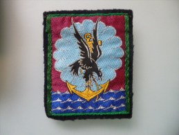 Insigne De Grande Unitée Parachutistes - Patches