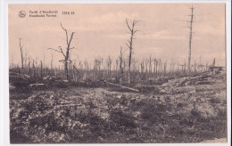 HOUTHULST : Cimetière Allemand Dans La Forêt - Houthulst