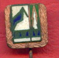 F1701 / DWDV - Dresdner Wanderer- Und Bergsteigerverein - DDR Deutschland Germany Allemagne Germania - Badge Pin - Alpinismo, Escalada