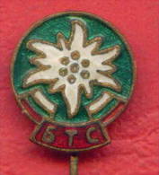 F1715 / Bulgarian Tourist Union EDELWEISS - Bulgaria Bulgarie Bulgarien Bulgarije - Badge Pin - Alpinismo, Escalada