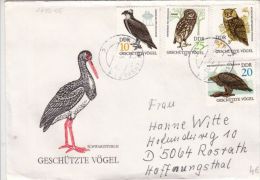 BIRDS, BLACK STORK, EAGLE, OWL, EMBOISED SPECIAL COVER, 1982, GERMANY - Ooievaars