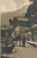 Grimentz : Homme Avec Mulet Bâté S´abreuvant à La Fontaine - Grimentz