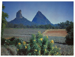 (PH 24) Australia - QLD - Glass HOuse Mountains - Sunshine Coast