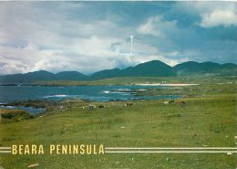 Beara Peninsula, Co Cork, Ireland Postcard Used Posted To UK 1993 Stamp John Hinde #2 - Cork