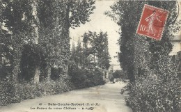 ILE DE FRANCE - 77 - SEINE ET MARNE - BRIE COMTE ROBERT - Ruines Du Vieux Château - Brie Comte Robert