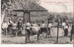 BARBADOS TYPICAL HOUSE AND GROUP OF NATIVES - Barbades