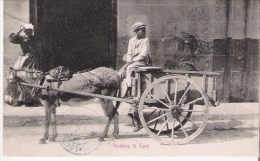 BARBADOS  DONKEY AND CART 1916 - Barbados (Barbuda)