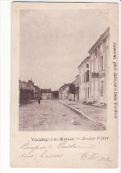 Carte Précurseur 1900 VILLENEUVE DE MARSAN / AVENUE D'AIRE - Villeneuve De Marsan