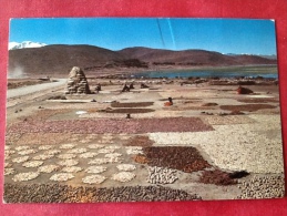 Bolivia Altiplano La Paz -> Belgica Belgique - Bolivia