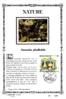 17,541 Bel Sonstamp Sony Stamps PTT Soie 541 544 2418    Nature Flore Champignon CS - Carte Souvenir FDC 1991-9-14 Padde - Souvenir Cards - Joint Issues [HK]