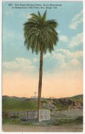 San Diego Mission Palm, Serra Monument In Background, Old Town, SAN DIEGO, Cal. - Palmier - Bomen