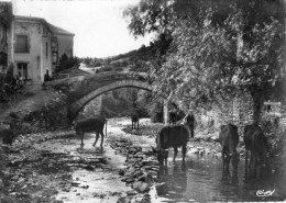 BLESLE LE PONT DU BOURG-NEUF VACHES QUI BOIVENT  AVEC VACHER - Blesle