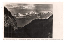 CP, 74, MIEUSSY, Le Mont Blanc Vu De Mieussy, écrite, Voyagé En 1949, Ed : Gérard Berthet, Carte Dentelée - Mieussy