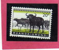 RUANDA URUNDI 1959 1961 FAUNA CAPE BUFFALOES ANIMAL ANIMALE BUFALO DEL CAPO CENT. 20c USATO USED OBLITERE' - Usati