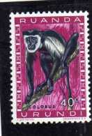 RUANDA URUNDI 1959 1961 FAUNA COLOBUS MONKEY ANIMAL ANIMALE SCIMMIA CENT. 40c USATO USED OBLITERE' - Oblitérés