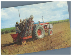 (PH 27) Australia - QLD - Mechanical Cane Planter - Tractor - Far North Queensland