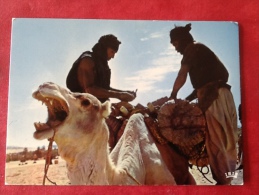 République Du Niger. Camel-drivers 1979 - Níger