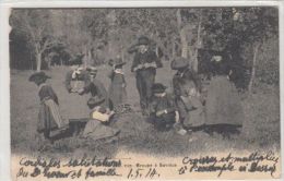 CPA SAVIESE- PEOPLE AT PICNIC, FOREST - Savièse