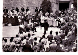 Barjols - Fête De Saint Marcel-bénédiction Du Boeuf - Barjols