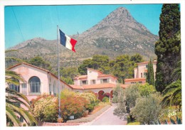 83 - La Valette - Domaine Des Gueules Cassées - L'allée Centrale - Le Coudon - La Valette Du Var