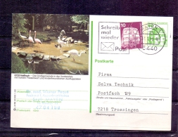 Deutsche Bundespost - Postkarte - Mayen 31/1/1993 (RM4271) - Flamants