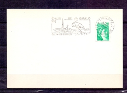 France  - Salin De Giraud 20/7/1979 (RM4279) - Fenicotteri