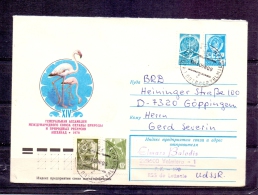 Noyta CCCP -  10/8/1980 (RM4283) - Flamingo's