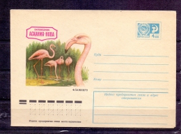 Noyta CCCP -    (RM4284) - Flamingo