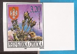 1997  56  BOSNIA REPUBLIKA SRPSKA SPITZKIELOXYTROPIS  CAMPESTRIS  RRR GREAT RARITY ONLY KNOWH 25 IMPERFORATE LUX MNH - Cactus