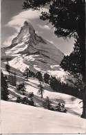 SUISSE ZERMATT MATTERHORN - Matt