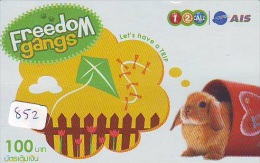 LAPIN Rabbit KONIJN Kaninchen Conejo (852) - Conigli