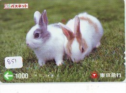 LAPIN Rabbit KONIJN Kaninchen Conejo (851) - Kaninchen