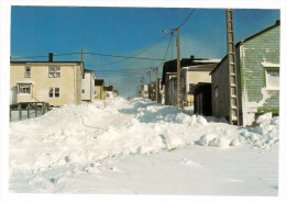 Saint Pierre Et Miquelon - Saint Pierre - La Rue Marceau En Hiver - Editeur: Briand N° 12-83 149-70 - Saint-Pierre Und Miquelon