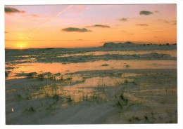 Saint Pierre Et Miquelon - Saint Pierre - Coucher De Soleil Sur Savoyard - Editeur: Briand N° 15-83 149-73 - San Pedro Y Miquelón