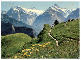 (PH 19)  Postcard Posted From Switzerland To Australia - Watterhorn - Horn
