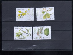 IRLANDE Nº 535 AL 538 - Plantas Medicinales